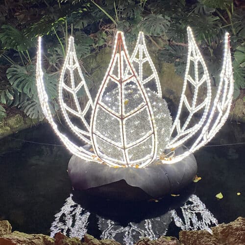 Wit verlichte kroon botanische tuinen malaga