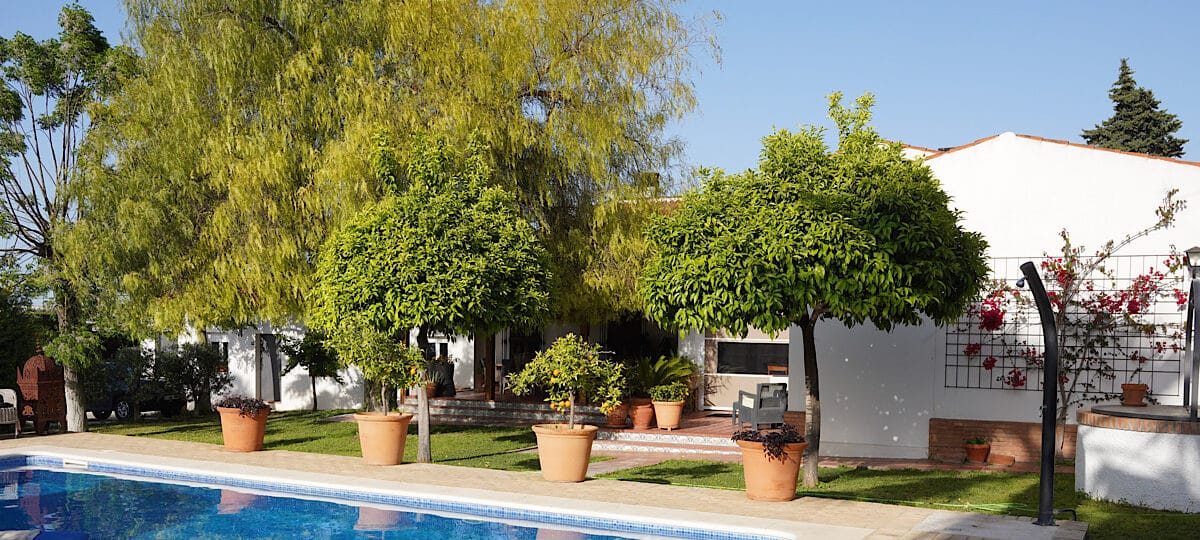 blik-op-zwembad-en-bb-casa-adelante-nederlandse-bb-in-sevilla