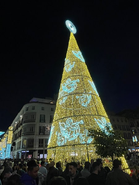 Kerstboom Malaga