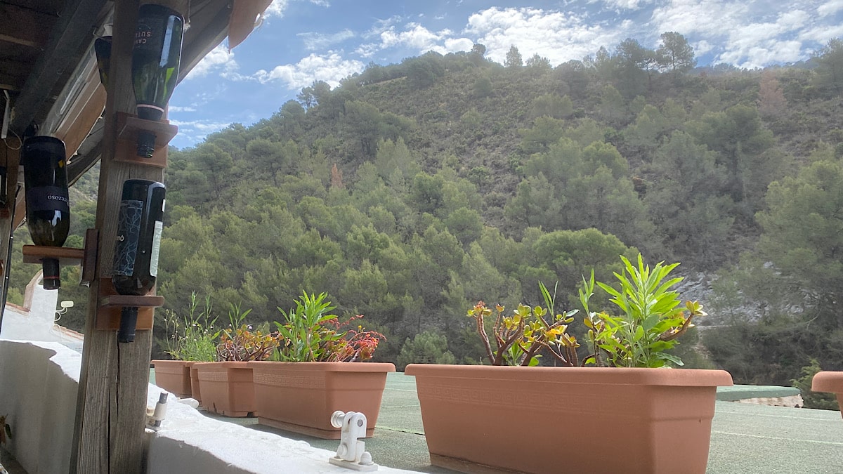 uitzicht-vanaf-terras-bar-restaurant-el-acebuchal