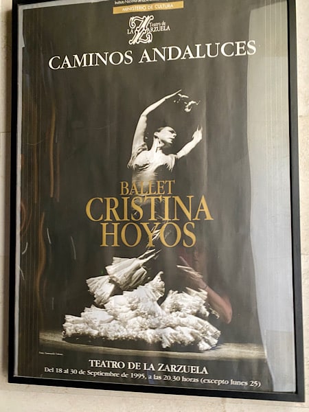 poster-aankondiging-ballet-cristina-hoyos