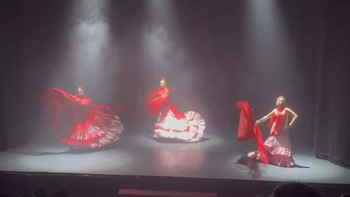 danseressen-tijdens-flamenco-show
