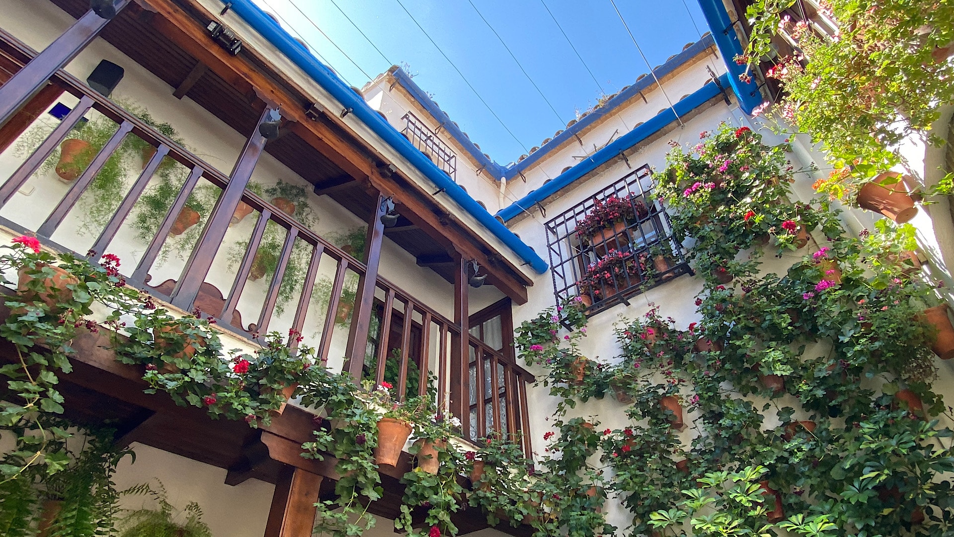 balkon-planten-blauwe-lucht-fiesta-de-los-patios-cordoba