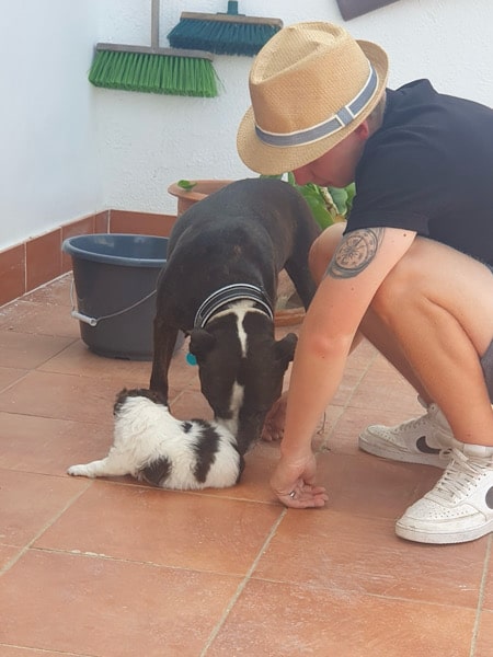 jordy-met-de-hond