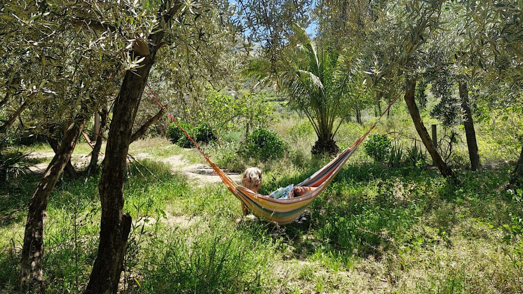 lekker-relaxen-in-de-hangmat