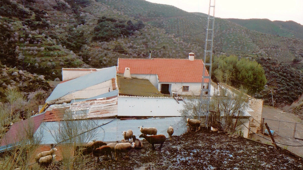 oude-finca-in-andalusie