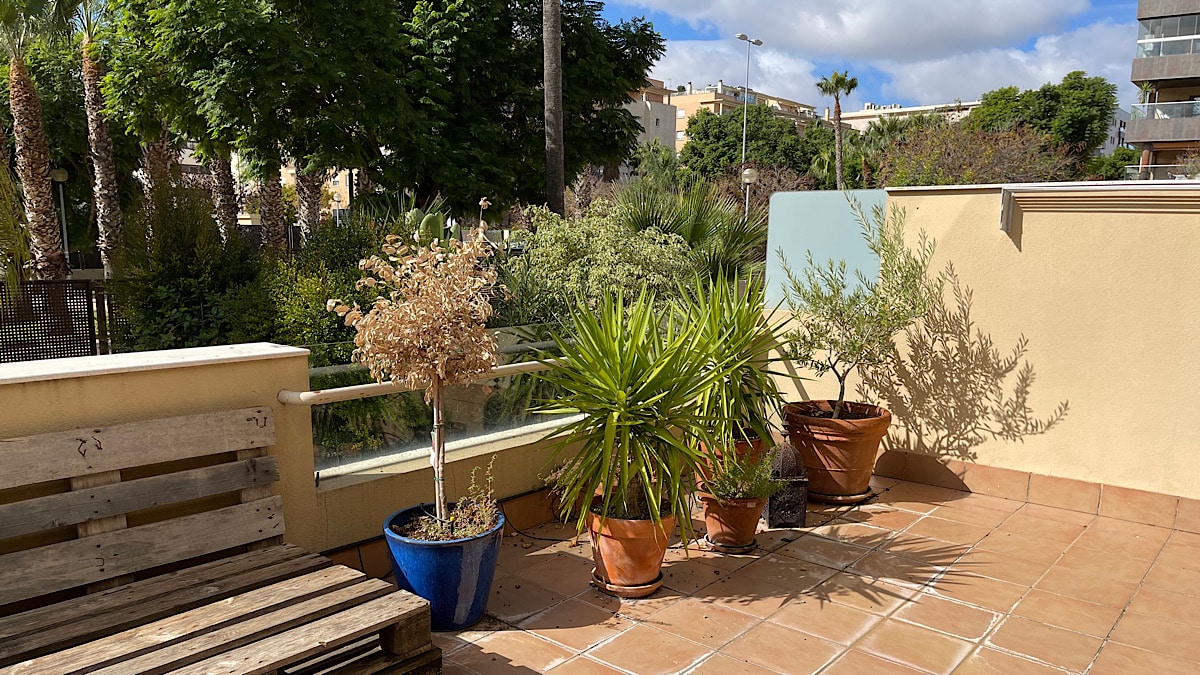 planten-op-het-terras-van-casa-cas