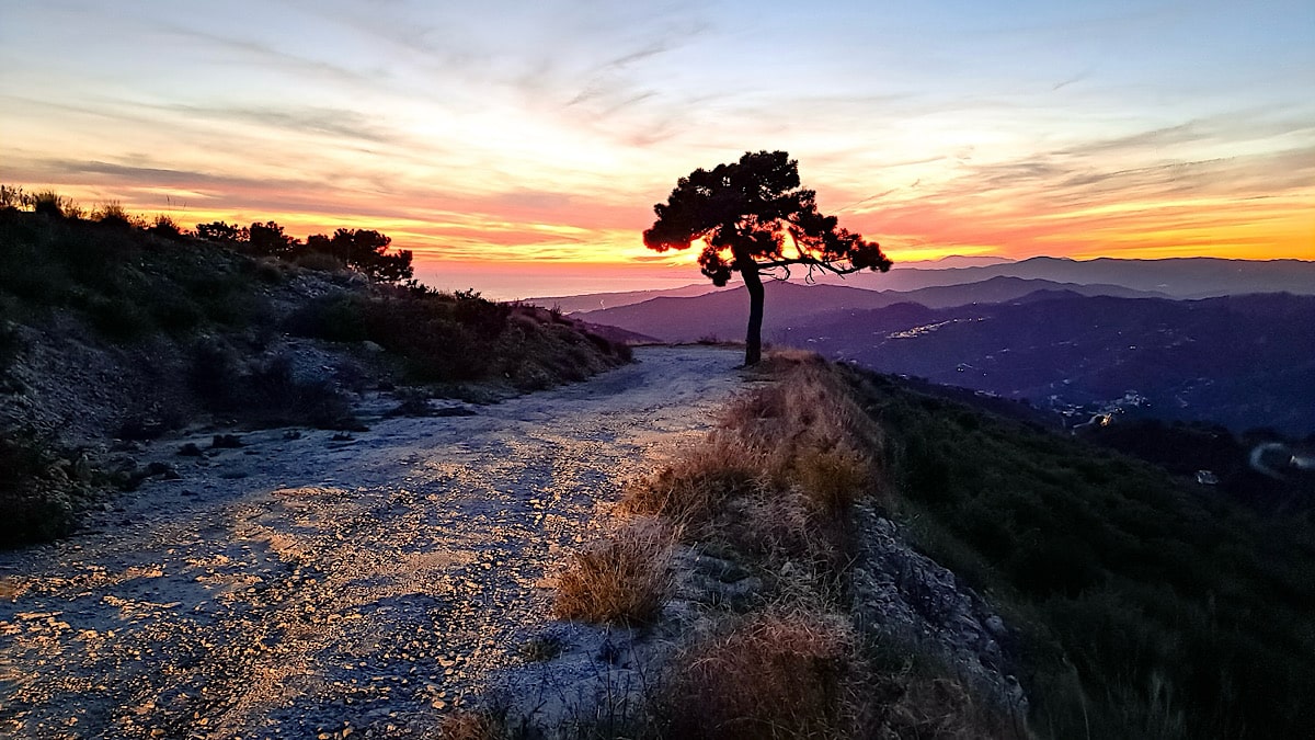 wandelen-in-het-avondlicht