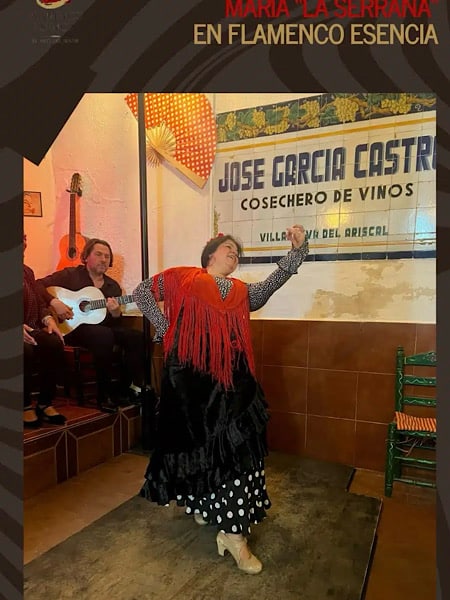 flamenco-in-gezellig-cafe-in-sevilla