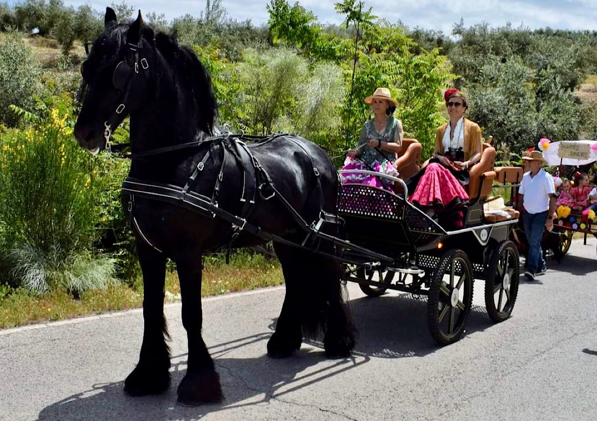 koets-met-paard-en-dames-in-flamenco-jurken-algarinejo