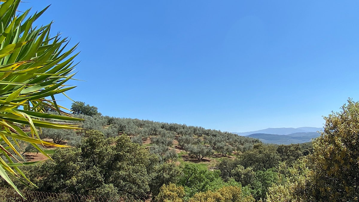 uitzicht-hacienda-la-buena-vida-algarinejo