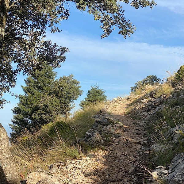 cerro-de-coros-wandelpad-grazalema