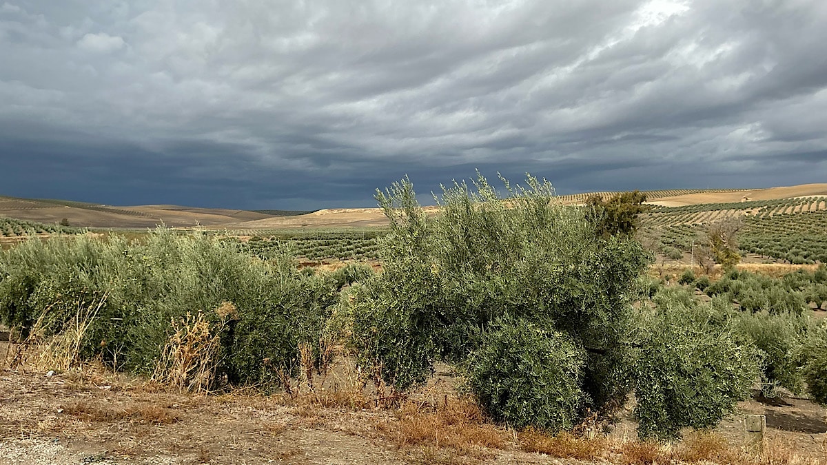 donkere-wolken-regen-andalusie