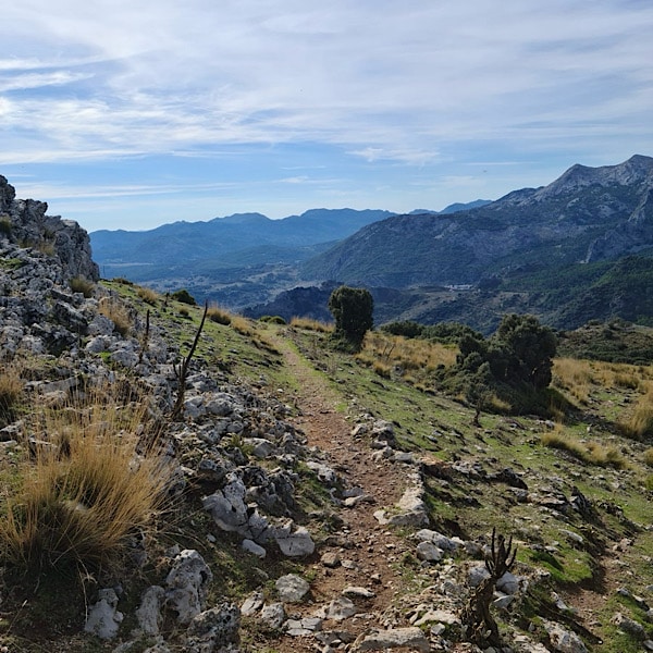 sendero-cerro-de-coros-Grazalema