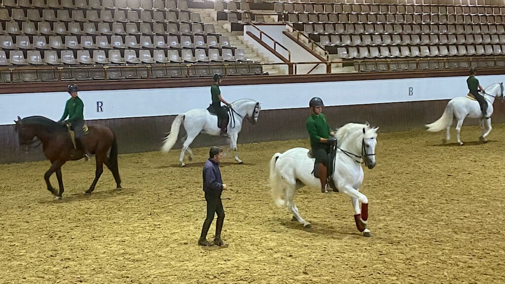 paarden-in-de-arena-jerez-de-la-frontera