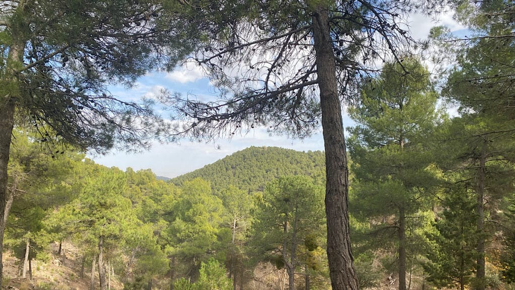 sendero-de-narvaez-sierra-de-baza-zicht-op-mirador