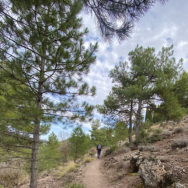 sendero-de-narvaez-sierra-de-baza