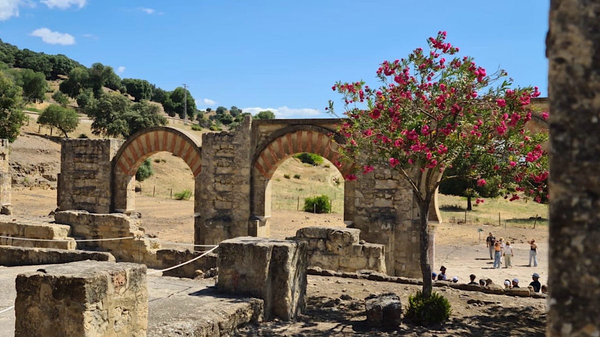 medina-azahara-cordoba-zuilen-met-rood-en-boom