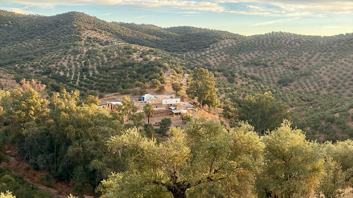 overzichtsfoto-experience-alpaca-andalucia-montoro-cordoba