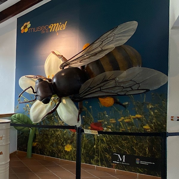 museo-de-la-miel-binnen-colmenar