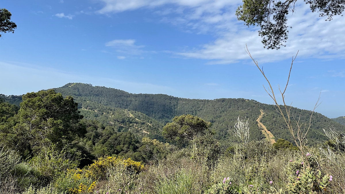 prachtige-natuur-in-montes-de-malaga