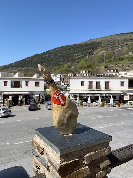 beeld-van-een-ham-in-trevelez