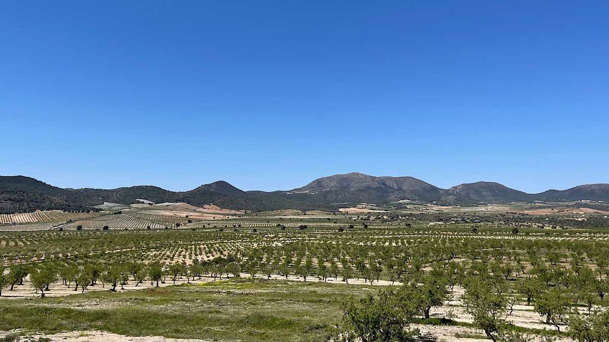de-fraaie-omgeving-van-casa-fuente-del-andaluz