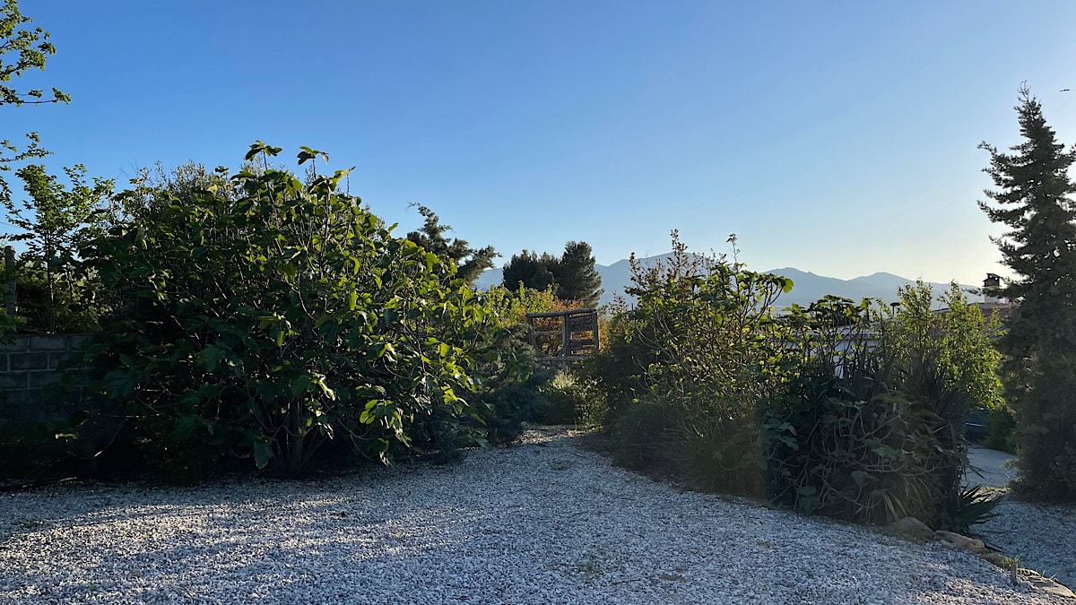 de-tuin-van-casa-de-lucas-in-het-avondlicht