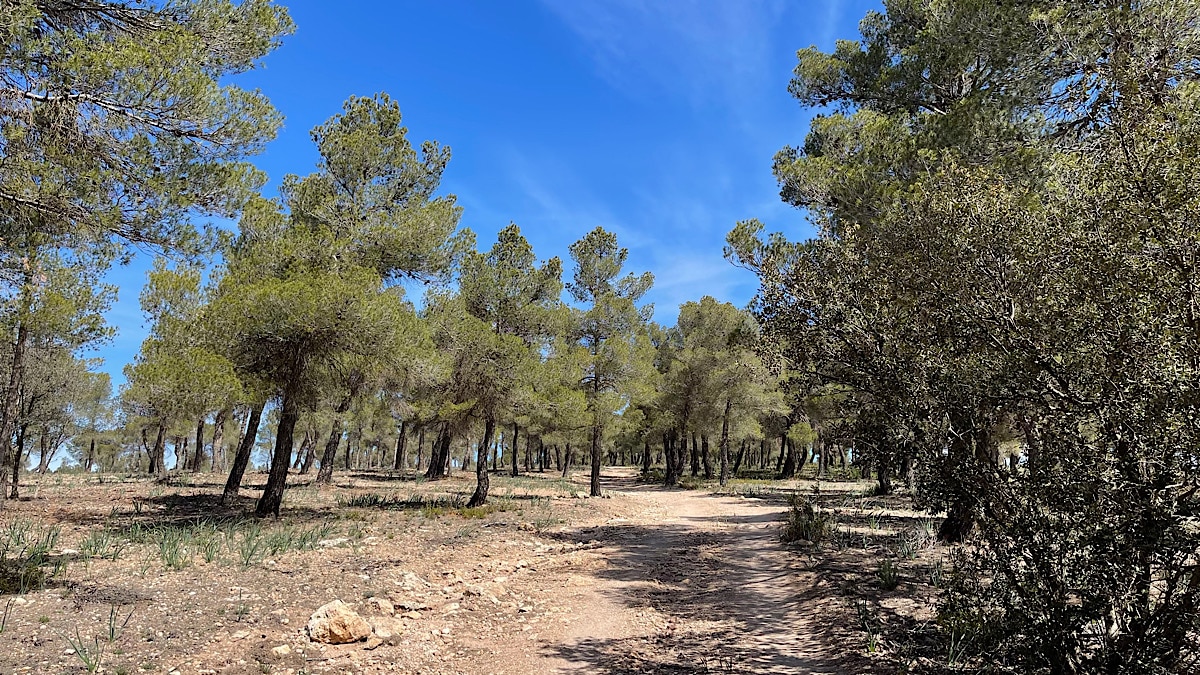 heerlijk-in-het-groen-in-almeria-sierra-de-maria-los-velez