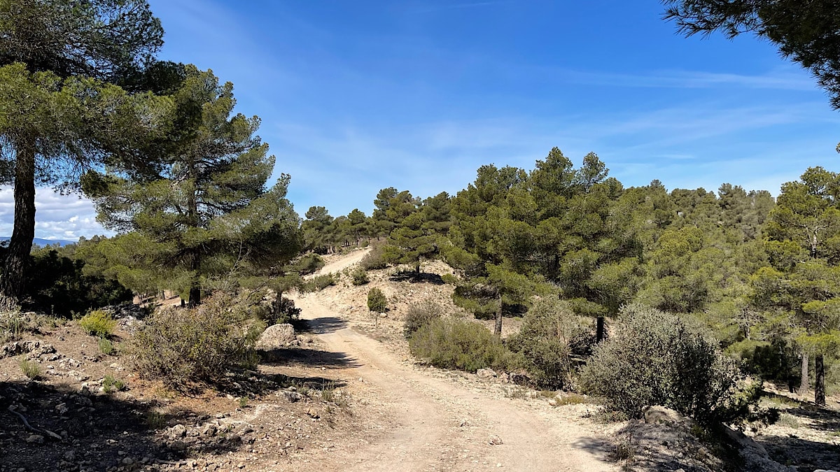 klimmetje-in-de-sierra-maria-los-velez