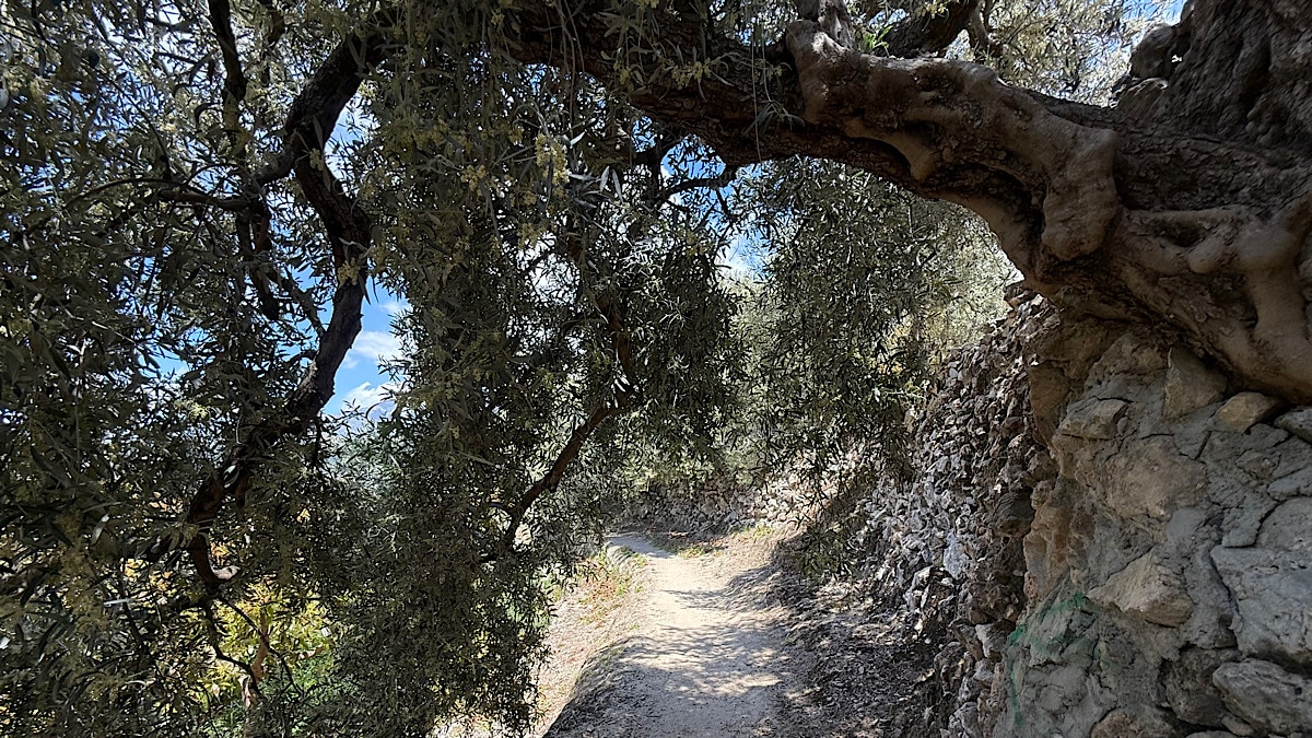 onderweg-naar-het-dorp-canillas-de-albaida-malaga