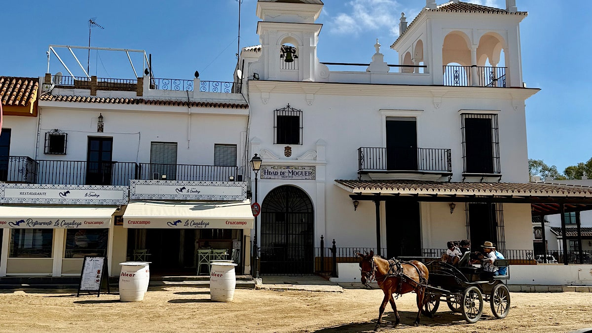 paardenkoets-in-el-rocio-almonte-huelva