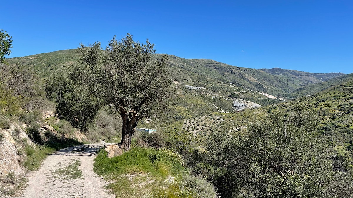 wandelen-bij-finca-de-elma