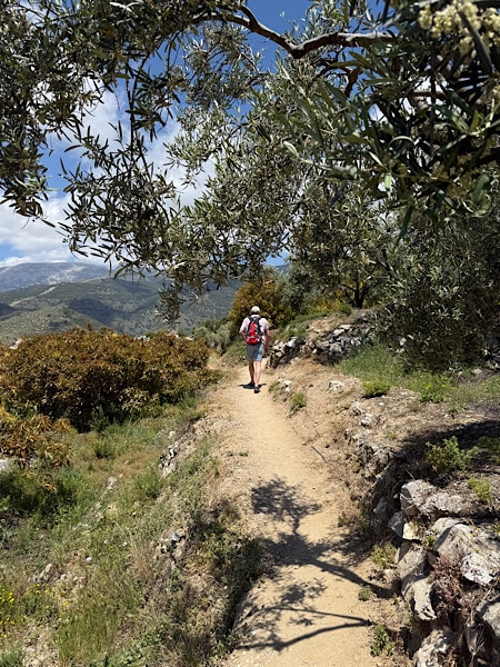 wandelend-naar-canillas-de-albaida-malaga