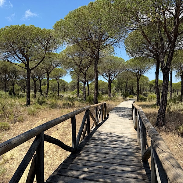 wandelpad-el-acebuche-parque-nacional-donana-huelva