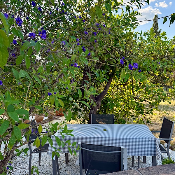 buitentafel-bij-casita-finca-el-limonar-alora