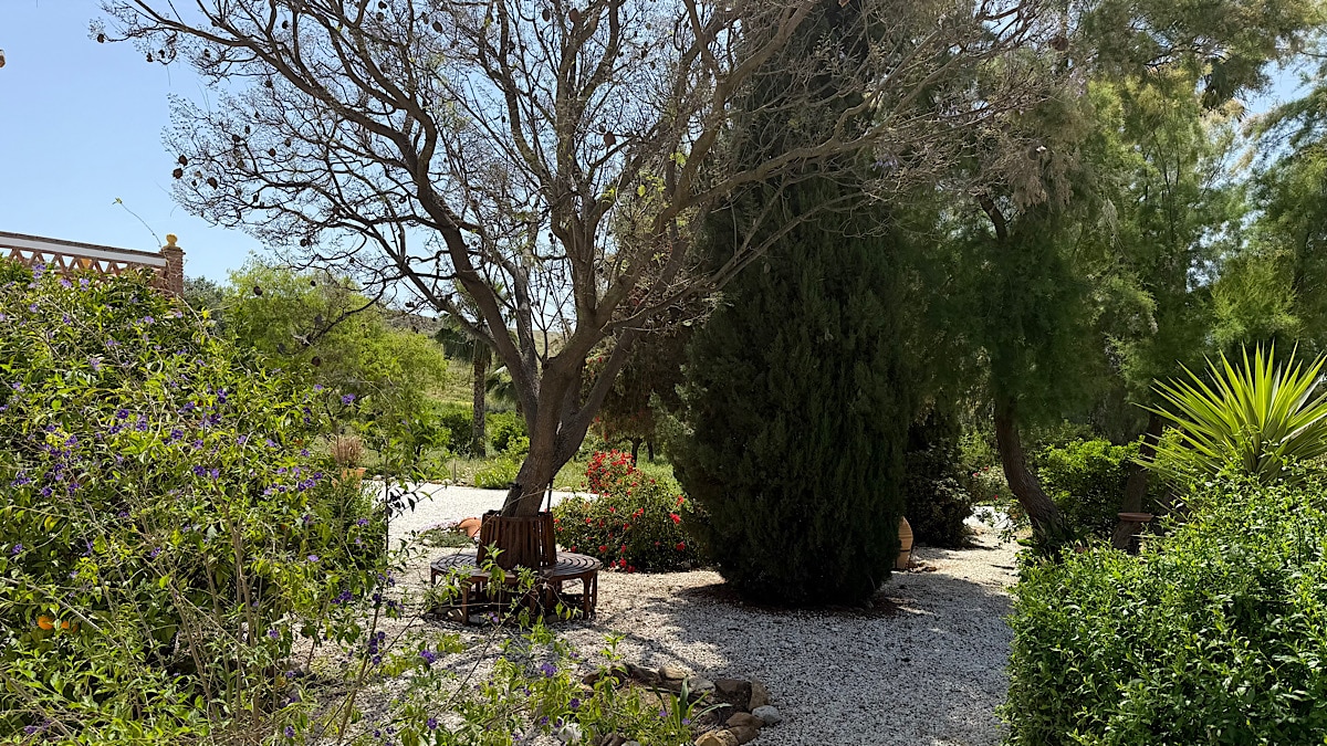 finca-el-limonar-alora-tuin-met-bankje-om-boom
