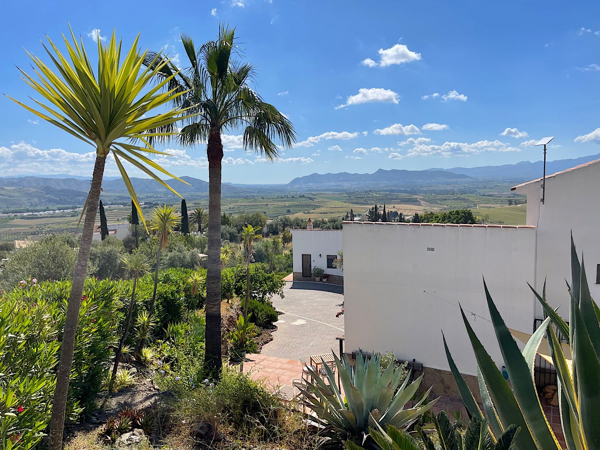 fraai-palmbomen-bij-finca-flamenco-benb-malaga