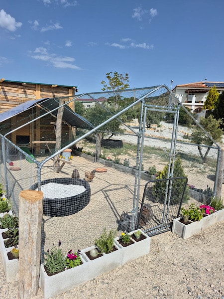 het-zelfgemaakte-kippenhok-van-casa-nuestro-sueno