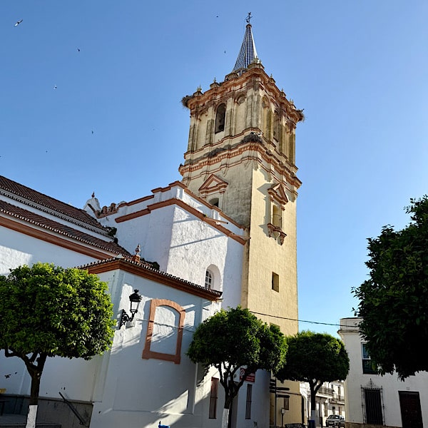 kerk-met-ooievaars-beas-huelva-andalusie