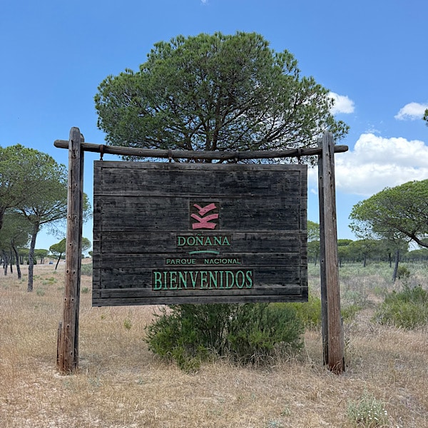 nationaal-park-donana-in-huelva-andalusie