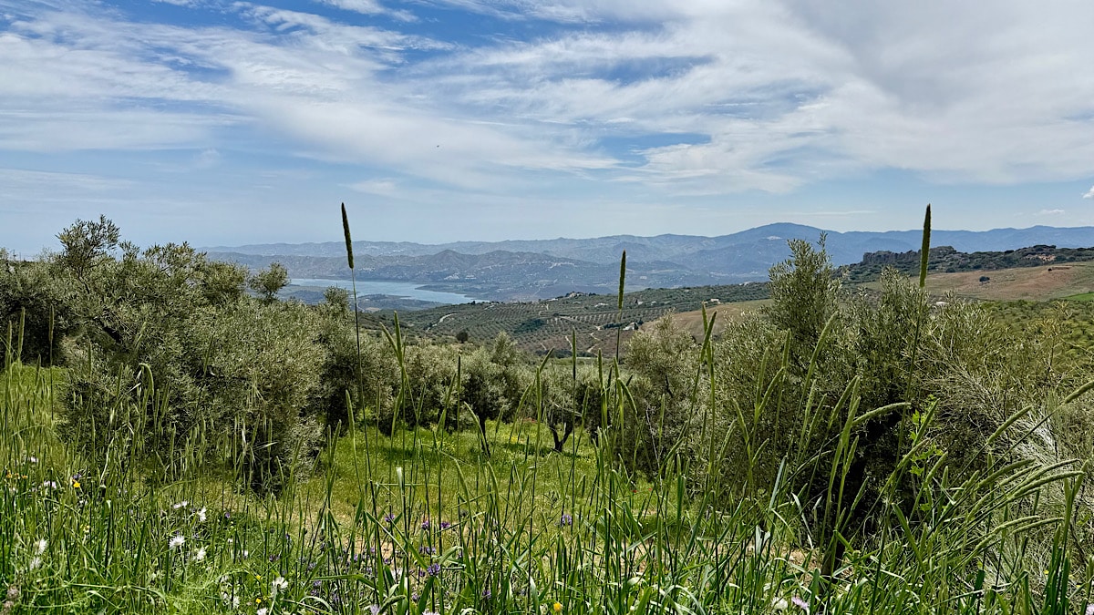oude-spoorlijnroute-periana-zicht-op-meer-vinuela