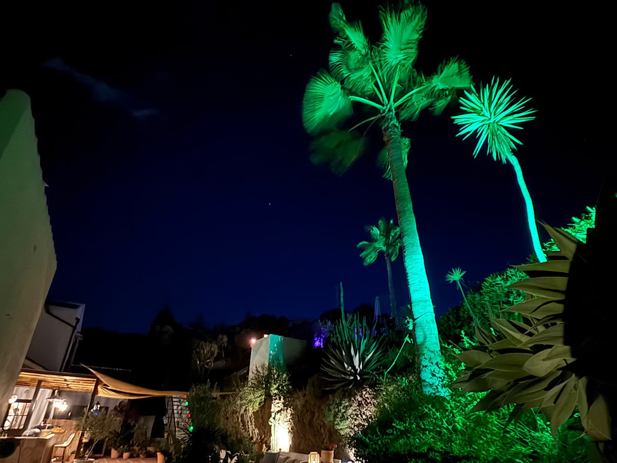 palmbomen-in-het-avondlicht-bij-finca-flamenco