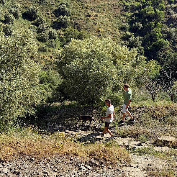wandelen-vanuit-finca-conchales-torrox-malaga