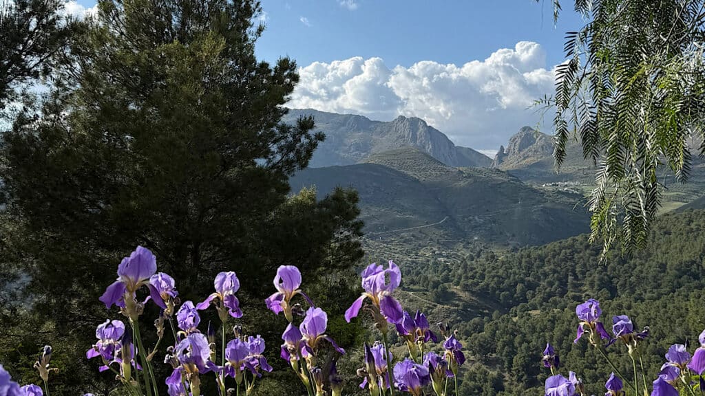 zicht-op-bergen-alcaucin-benb-el-refugio-andalusie