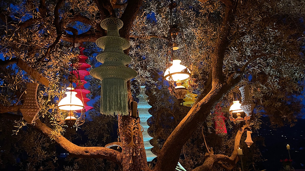 fraaie-boom-op-het-terrein-van-finca-conchales-met-decoratie