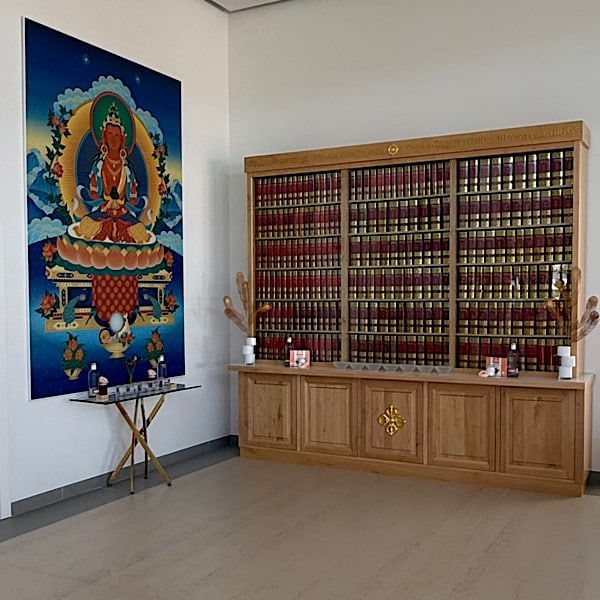 boekenkast-schilderij-kadampa-tempel-alhaurin-el-grande