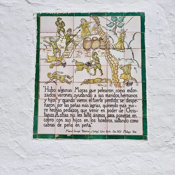 tegel-10-las-moriscas-frigiliana-malaga-andalusie