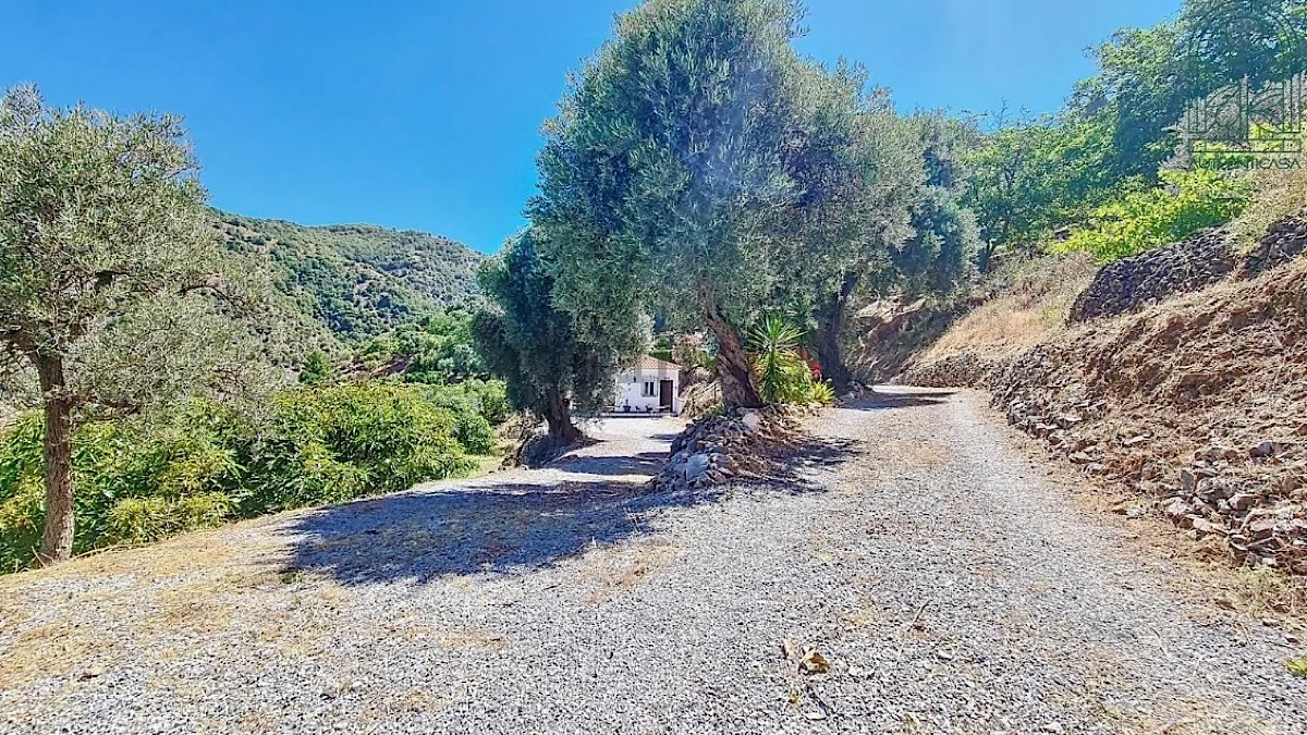 de-omgeving-van-finca-floretta-canillas-de-albaida-malaga