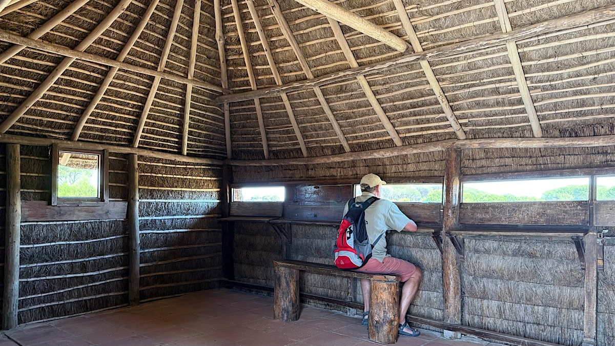 observatiehut-park-el-acebuche-nationaal-park-donana